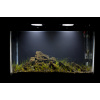 1633762066_12-p-akvarium-s-chernim-gruntom-foto-12