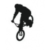moto 12